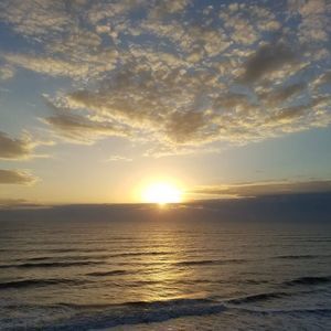 Meet your Posher, Tracie